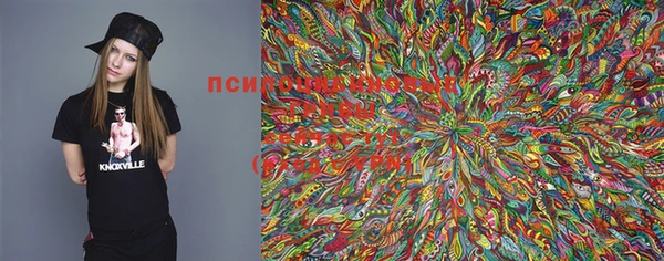 ECSTASY Абинск